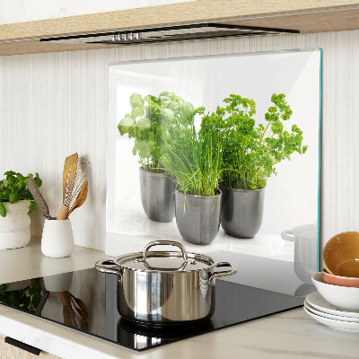 Tagliere in vetro temperato Erbe aromatiche in vaso
