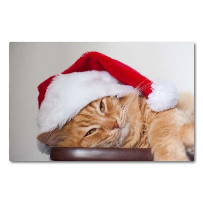 Tagliere in vetro Cappello di Babbo Natale gatto