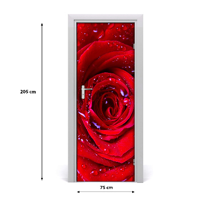 Poster adesivo per porta rosa rossa