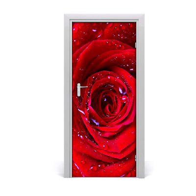Poster adesivo per porta rosa rossa