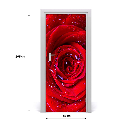 Poster adesivo per porta rosa rossa
