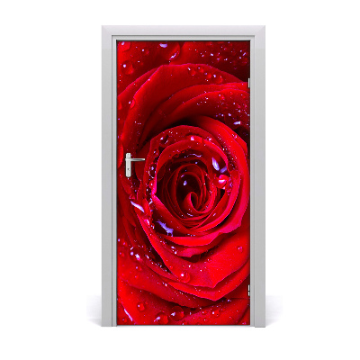 Poster adesivo per porta rosa rossa