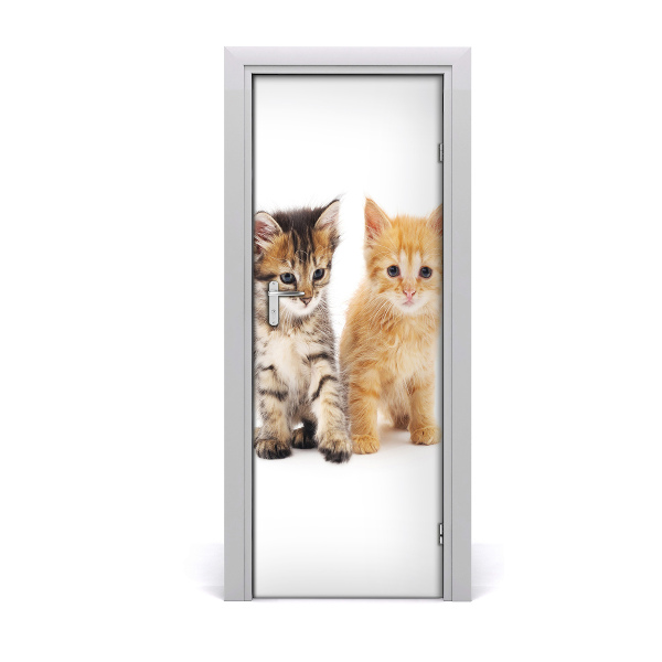 Adesivo per porta Gatto grigio e rosso