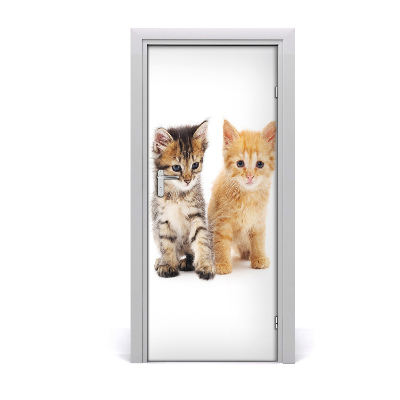 Adesivo per porta Gatto grigio e rosso