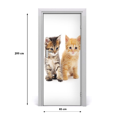 Adesivo per porta Gatto grigio e rosso