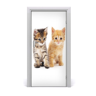 Adesivo per porta Gatto grigio e rosso