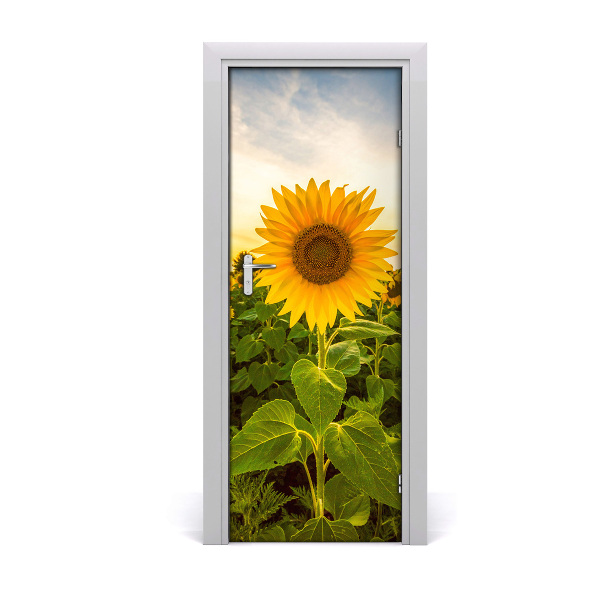 Adesivo per porta Campo di girasole