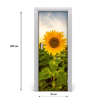 Adesivo per porta Campo di girasole