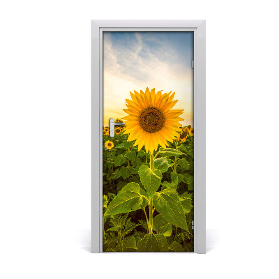 Adesivo per porta Campo di girasole