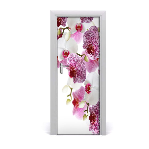 Adesivo per porta Orchidea