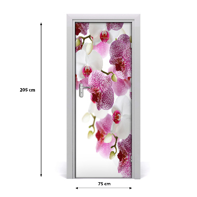 Adesivo per porta Orchidea