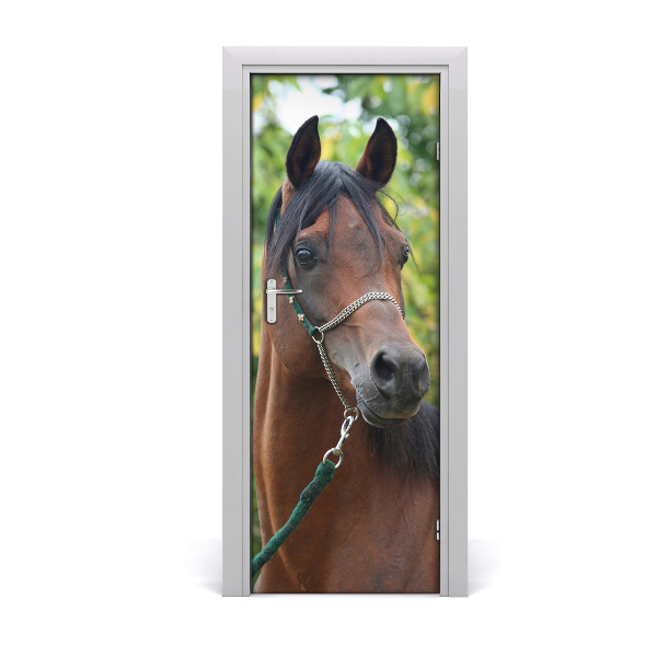 Adesivo per porta interna Ritratto di un cavallo