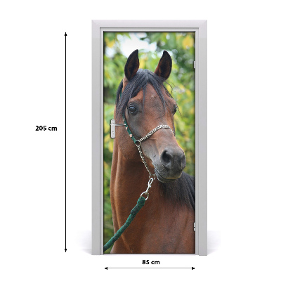 Adesivo per porta interna Ritratto di un cavallo