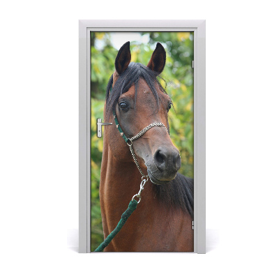 Adesivo per porta interna Ritratto di un cavallo