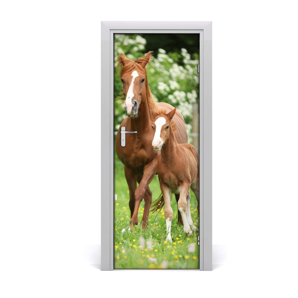 Adesivo per porta interna Cavalla e puledro