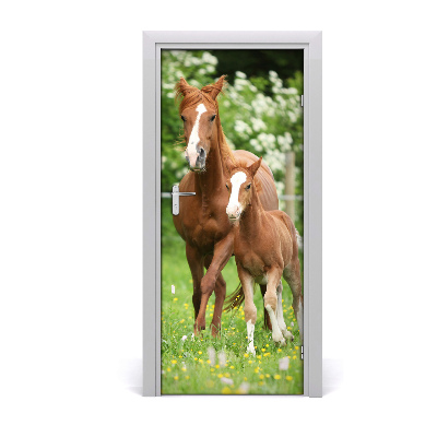 Adesivo per porta interna Cavalla e puledro