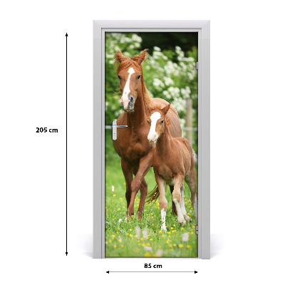 Adesivo per porta interna Cavalla e puledro