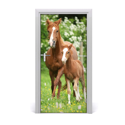 Adesivo per porta interna Cavalla e puledro