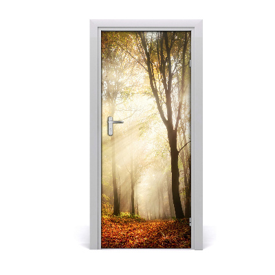 Poster adesivo per porta Foresta in autunno