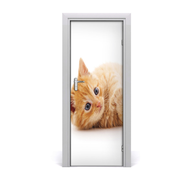Adesivo per porta Little Rudy Cat