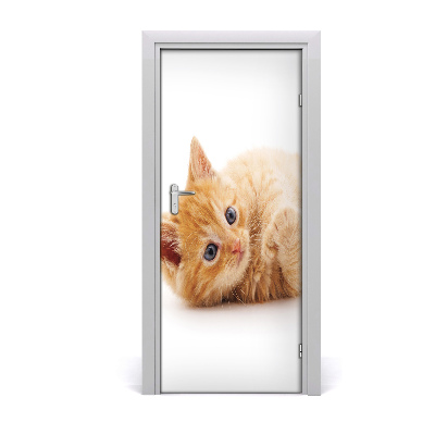 Adesivo per porta Little Rudy Cat