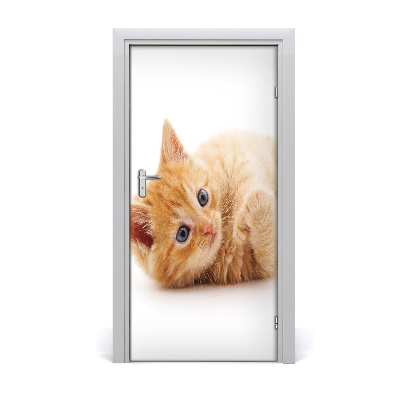 Adesivo per porta Little Rudy Cat