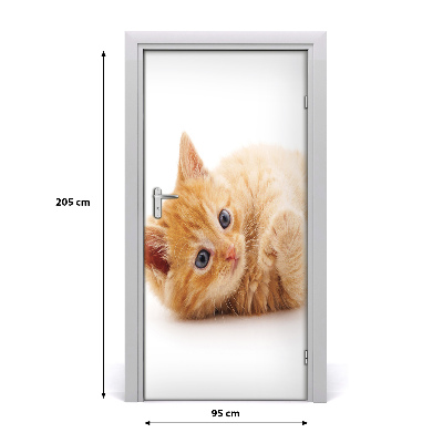 Adesivo per porta Little Rudy Cat