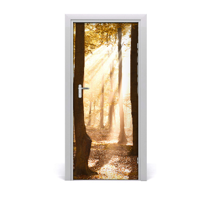 Adesivo per porta interna Foresta in autunno