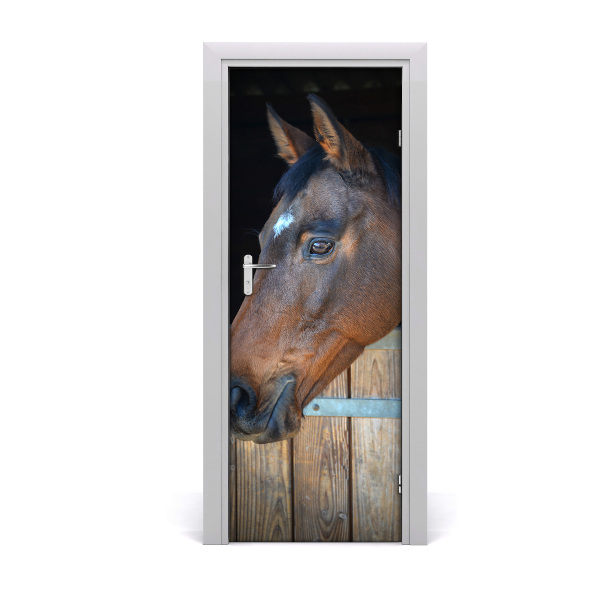 Rivestimento Per Porta Cavallo stabile