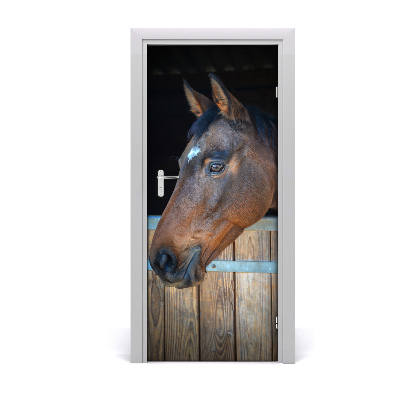 Rivestimento Per Porta Cavallo stabile