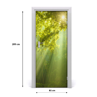 Adesivo per porta Il sole nella foresta