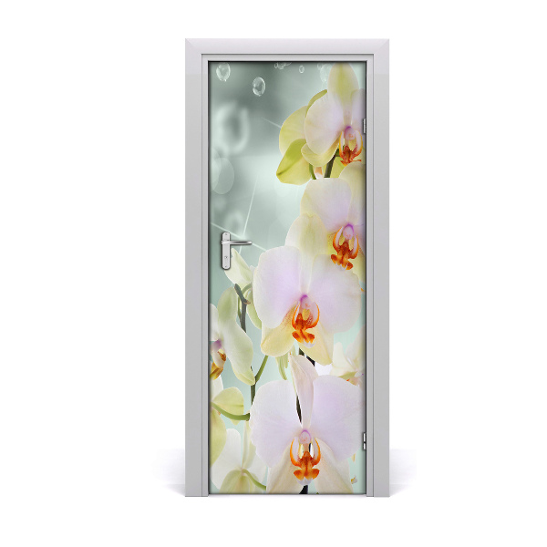 Adesivo per porta sulla porta dell'orchide