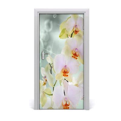 Adesivo per porta sulla porta dell'orchide
