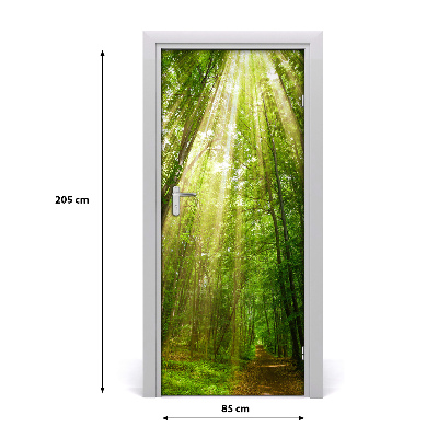Poster adesivo per porta Sentiero nella foresta