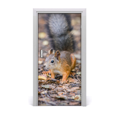 Sticker porta Scoiattolo nella foresta