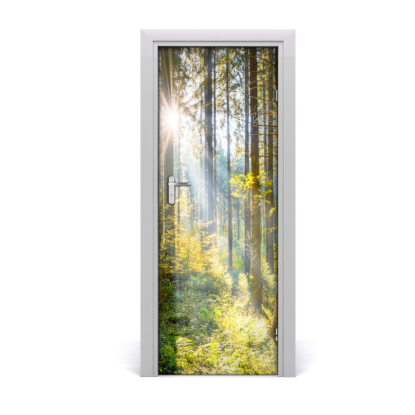 Poster adesivo per porta Il sole nella foresta