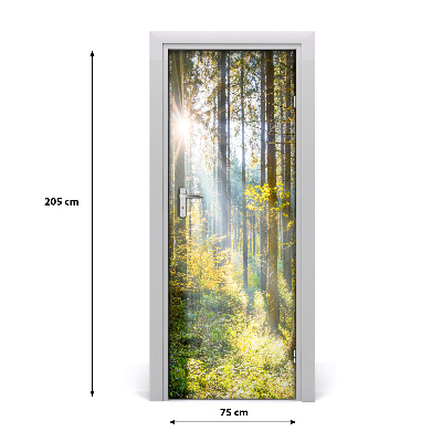 Poster adesivo per porta Il sole nella foresta