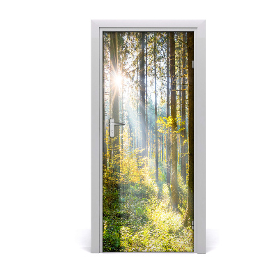 Poster adesivo per porta Il sole nella foresta