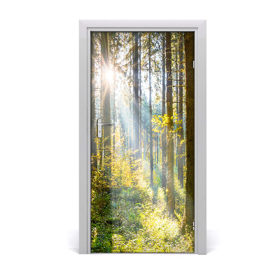 Poster adesivo per porta Il sole nella foresta