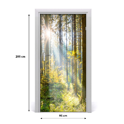 Poster adesivo per porta Il sole nella foresta