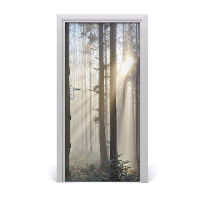 Adesivo per porta Nebbia nella foresta