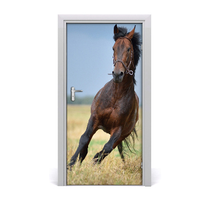 Poster adesivo per porta Cavallo