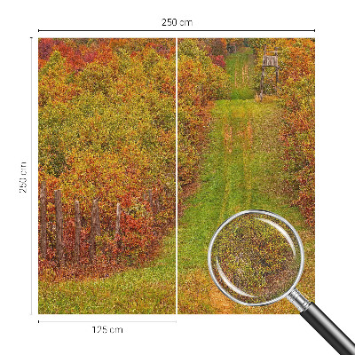 Fotomurale effetto 3D Colori autunnali