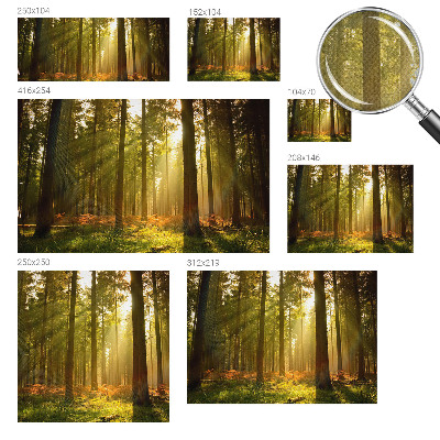 Carta da parati effetto profondità Mattina nella foresta