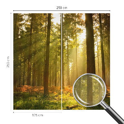 Carta da parati effetto profondità Mattina nella foresta