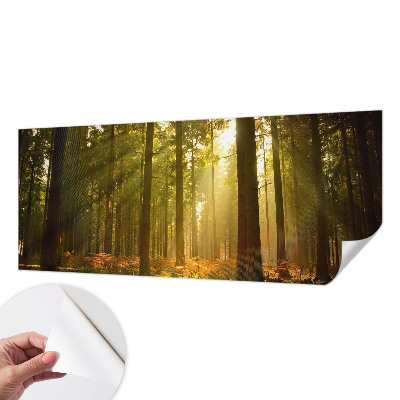 Carta da parati effetto profondità Mattina nella foresta