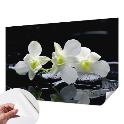 Fotomurale per cameretta Fiori e pietre