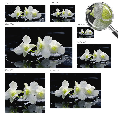 Fotomurale per cameretta Fiori e pietre