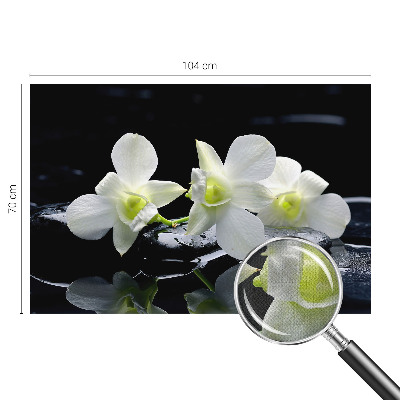 Fotomurale per cameretta Fiori e pietre