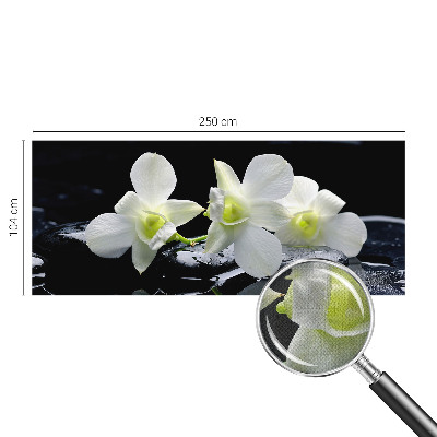 Fotomurale per cameretta Fiori e pietre